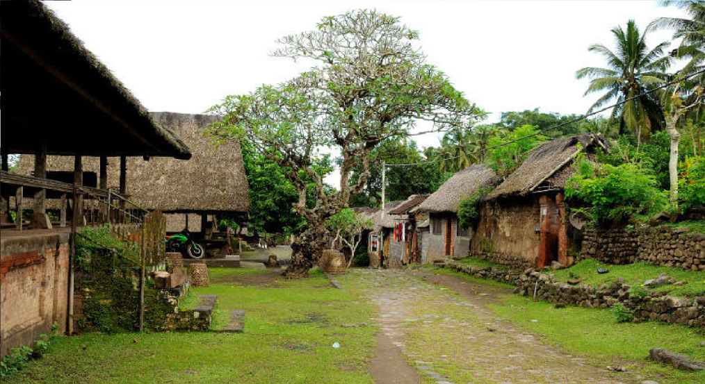 Tenganan Village Bali | BALI JUNGLE TREKKING | Best Hiking Tour Guide |